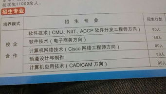 大學軟件測試方向專業選擇指南 計算機網絡、計算機應用與軟件技術深度解析
